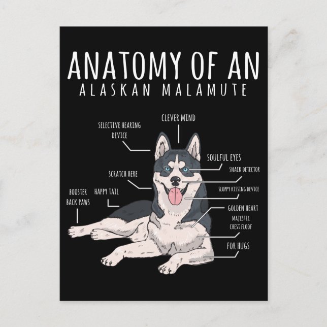 Alaskan Malamute Funny Dog Owner Postkarte (Vorderseite)