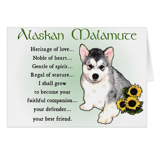 Alaskan Malamute Geschenke (Vorderseite (Horizontal))