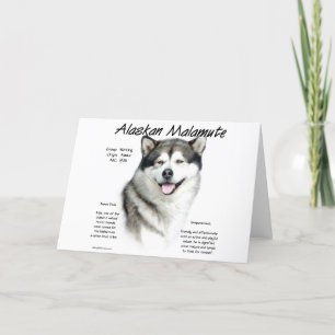 Alaskan Malamute Geschichte, Alles über Malamutes Feiertagskarte