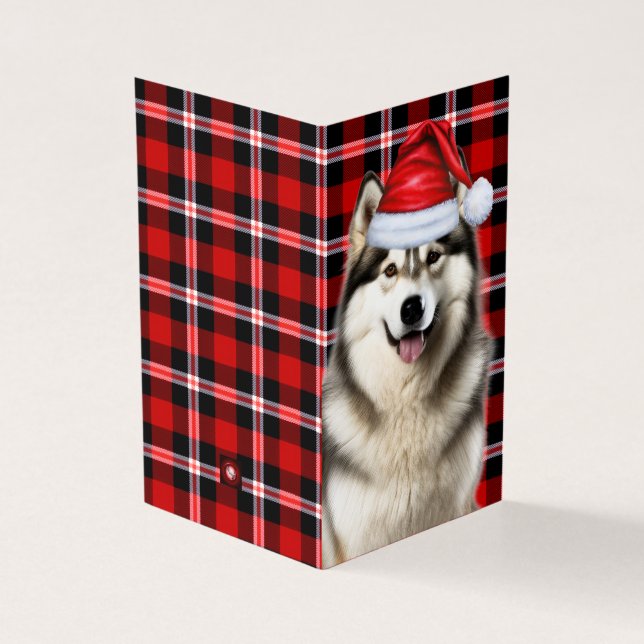 Alaskan Malamute Holiday Karierte Weihnachtskarte (Vorderseite)