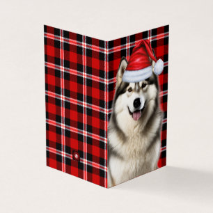 Alaskan Malamute Holiday Karierte Weihnachtskarte