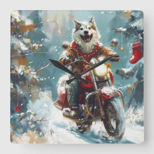 Alaskan Malamute Hund fährt Motorrad Weihnachten  Quadratische Wanduhr