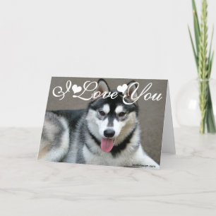 Alaskan Malamute Hunde Ich Liebe Dich Karte