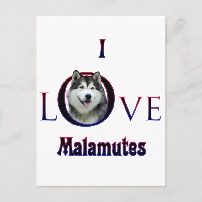 Alaskan Malamute I Liebe Postkarte (Vorderseite)