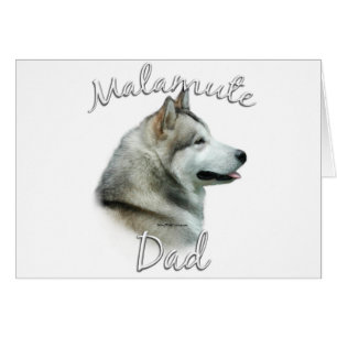 Alaskan Malamute papa 2