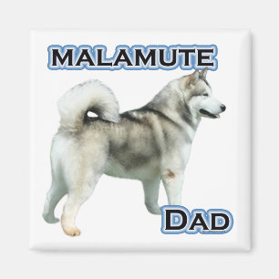 Alaskan Malamute Papa 4 - Aimant