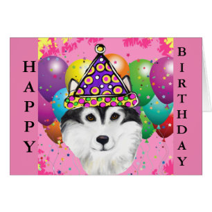 Alaskan Malamute-Party-Hund