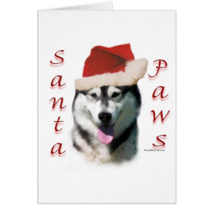 Alaskan Malamute Père Noël Paws