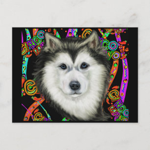 Alaskan Malamute Postkarte
