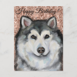 Alaskan Malamute Postkarte