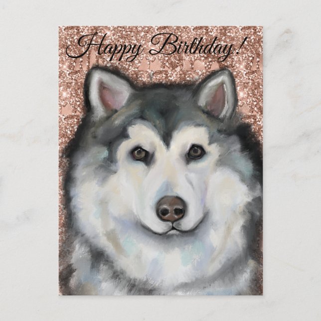 Alaskan Malamute Postkarte (Vorderseite)