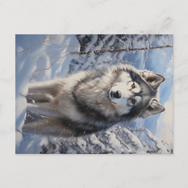 Alaskan Malamute Postkarte (Vorderseite)
