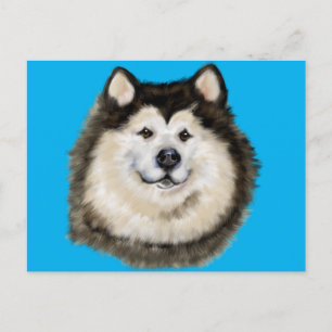 Alaskan Malamute Postkarte
