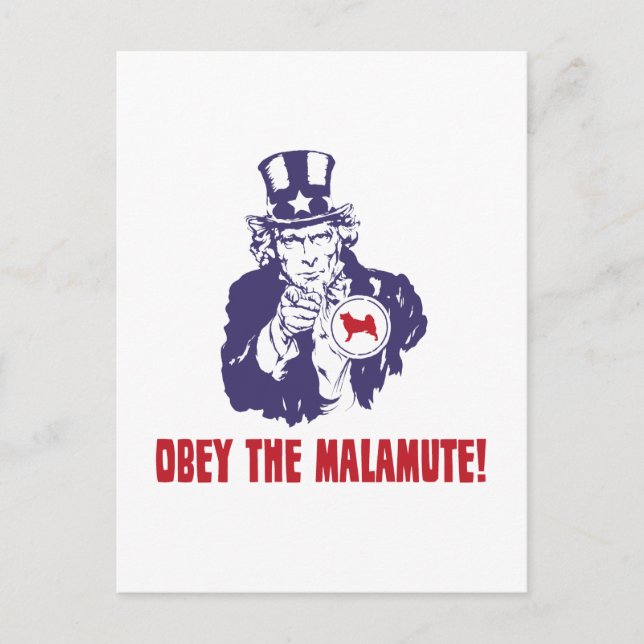 Alaskan Malamute Postkarte (Vorderseite)