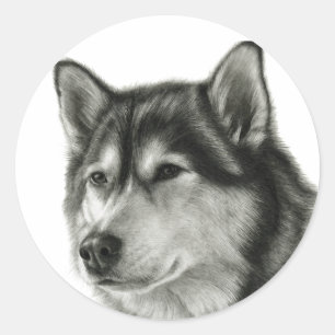 Alaskan Malamute Runder Aufkleber