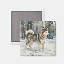 Alaskan Malamute-Schmuckkästchen Magnet