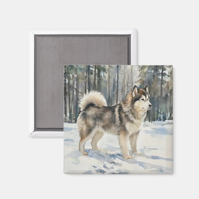 Alaskan Malamute-Schmuckkästchen Magnet (Vorderseite/Rückseite)