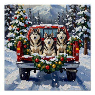 Alaskan Malamute Weihnachten Rotes Lastwagen Ferie Poster