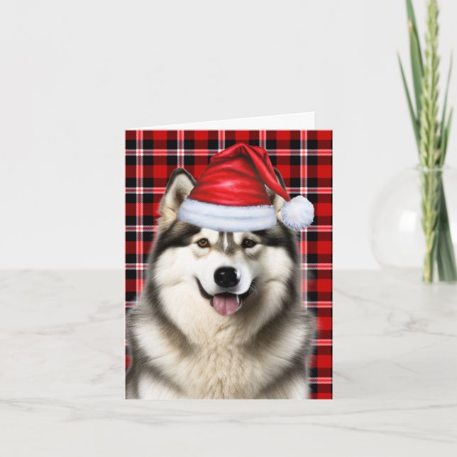 Alaskan Malamute Weihnachtsfeiertag Kariert Feiertagskarte (Vorderseite)
