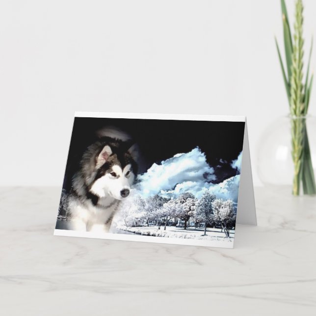 Alaskan Malamute Weihnachtsgrüße Feiertagskarte (Vorderseite)