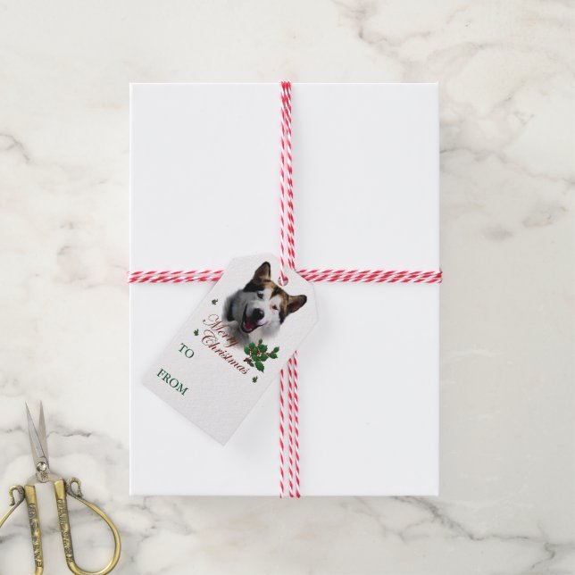 Alaskan Malamute Weihnachtsmarken Geschenkanhänger (Mit Garn)