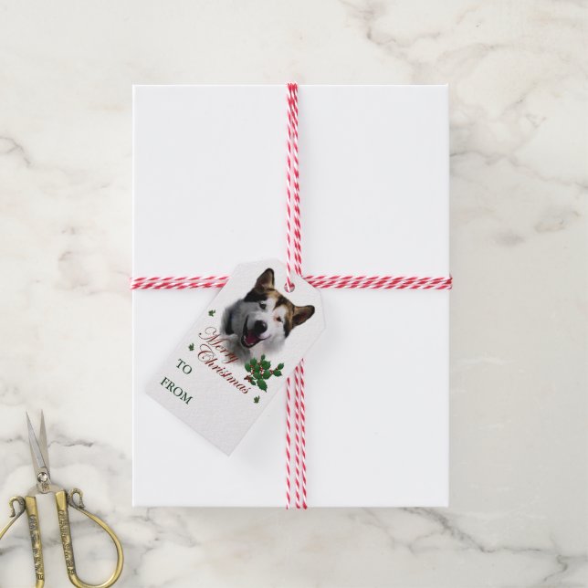 Alaskan Malamute Weihnachtsmarken Geschenkanhänger (Mit Garn)
