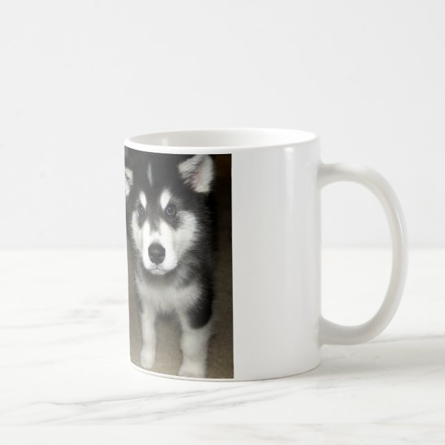 Alaskan malamute Welpe 3 Kaffeetasse (Rechts)