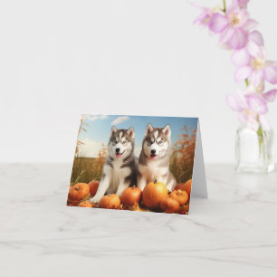 Alaskan Malamute Welpe Herbst Delight Pumpkin Karte