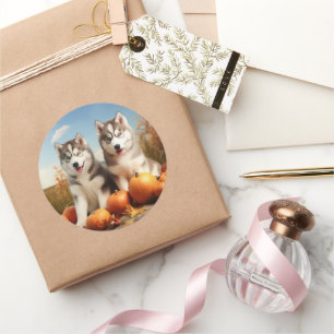 Alaskan Malamute Welpe Herbst Delight Pumpkin Runder Aufkleber