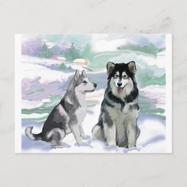 Alaskan Malamute Winter Szene Postkarte (Vorderseite)