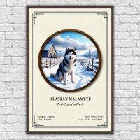 Alaskan Malamute Zoologie-Serie