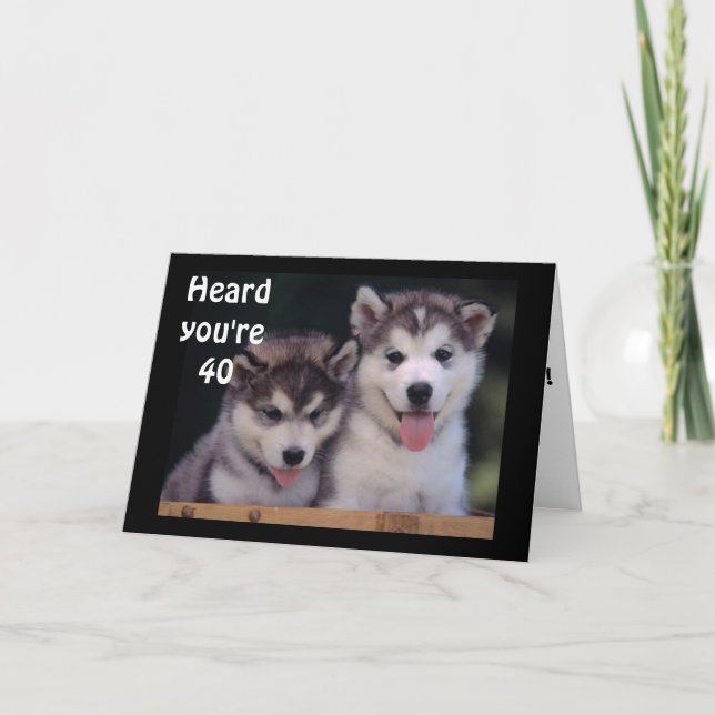 "ALASKAN MALAMUTES 40. BIRTHTAGES WISHES" KARTE (Vorderseite)
