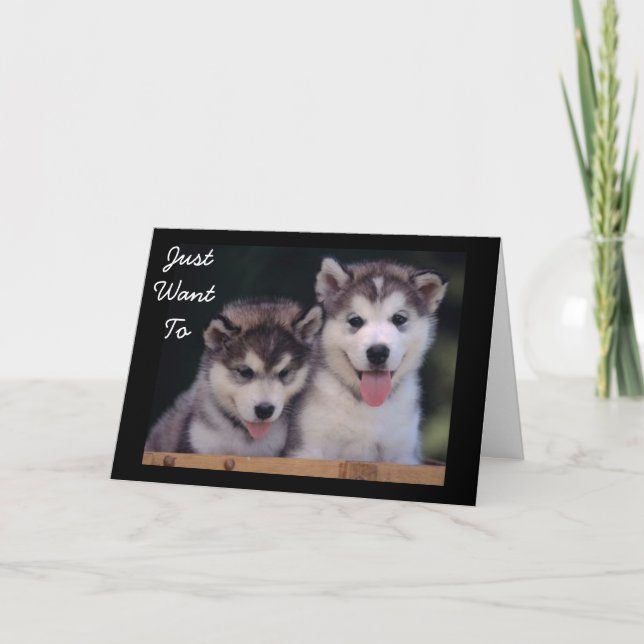 "ALASKAN MALAMUTES BIRTHTAY WISHHHES" KARTE (Vorderseite)