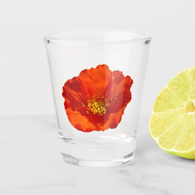 Alaskan Red Poppy Colorful Blume Schnapsglas (Vorderseite)