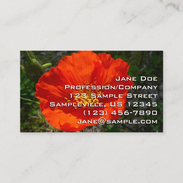 Alaskan Red Poppy Colorful Blume Visitenkarte (Vorderseite)