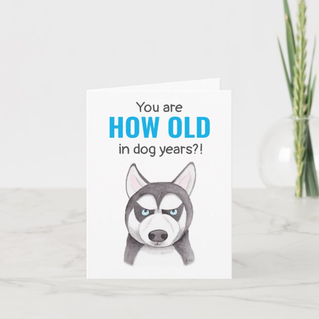 Alaskan Siberian Husky Funny Dog Lover Geburtstag Karte (Vorderseite)
