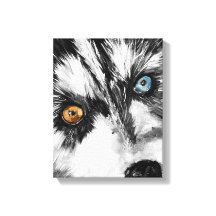 Alaskan Sled Dog_Lasse Run Stretched Canvas Print