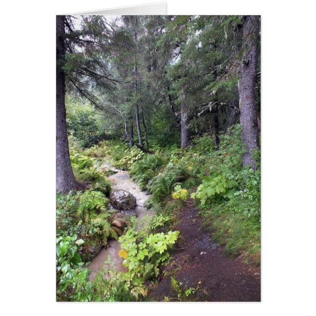 Alaskan Stream (Vorne)