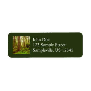 Alaskan Temperate Rainforest