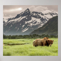 Alaskan Ufer, Grizzlybär