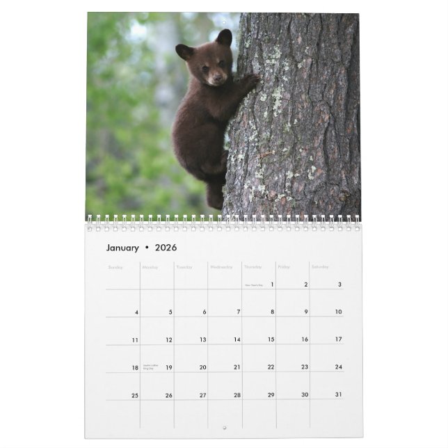 Alaskan Wildlife Calendar Kalender (Jan 2026)