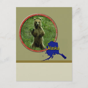 Alaskan Wildlife Postkarte