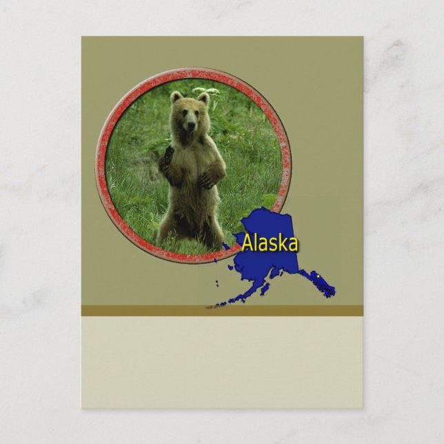 Alaskan Wildlife Postkarte (Vorderseite)