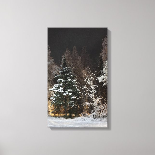 Alaskan Winter Night Stretched Canvas Print Leinwanddruck (Vorderseite)