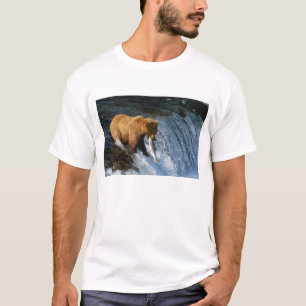 Alaskanischer Braunbär fängt Lachs bei Brooks T-Shirt