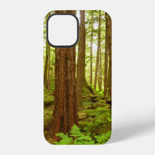 Alaskas gemäßigte Regenwälder iPhone 12 Hülle