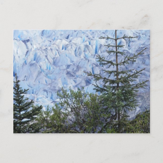 Alaskas Schönheit Postkarte (Vorderseite)