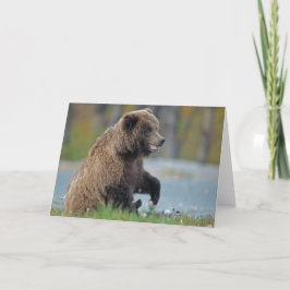 Alaskischer Braunbär bei Kenai NWR Karte