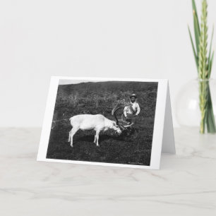 Alaskischer Eskimo und gefangengenommenes Ren Karte