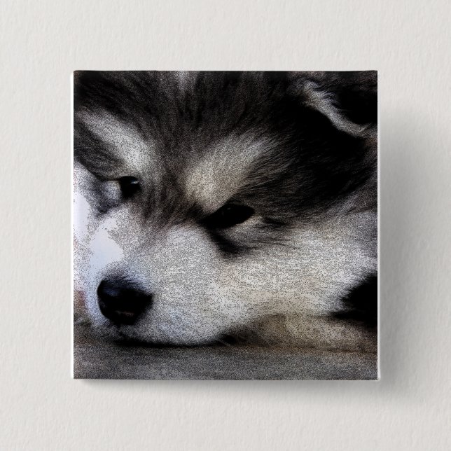 Alaskischer Malamute Button (Vorderseite)